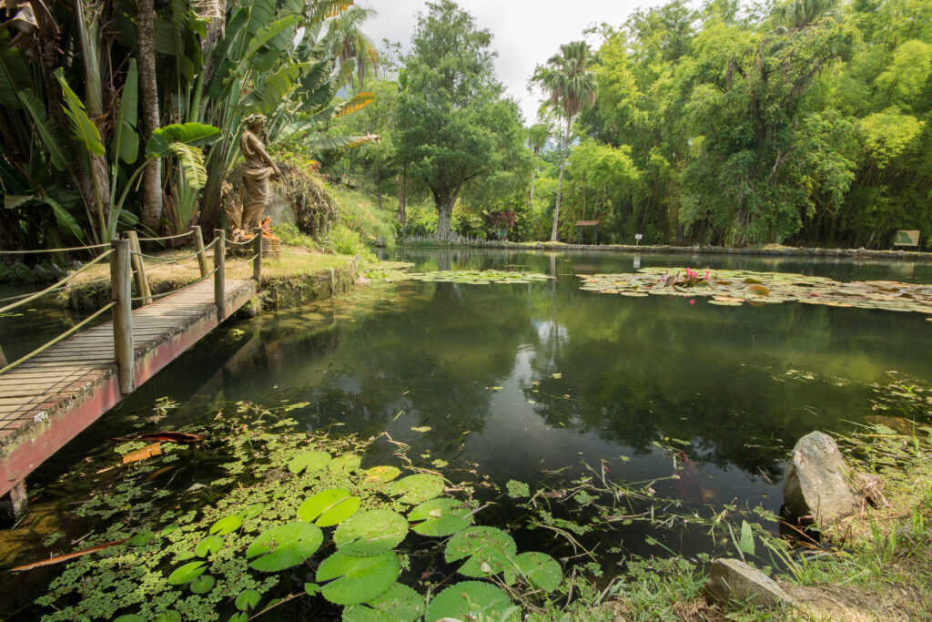 Scenic pond surrounded by lush tropical vegetation at the Botanical Garden of Rio de Janeiro, Brazil, with water lilies and a small wooden bridge.