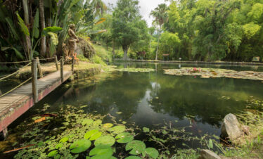 Scenic pond surrounded by lush tropical vegetation at the Botanical Garden of Rio de Janeiro, Brazil, with water lilies and a small wooden bridge.